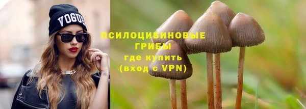 МДПВ Абаза