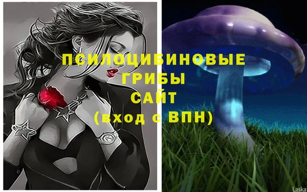apvp Абдулино