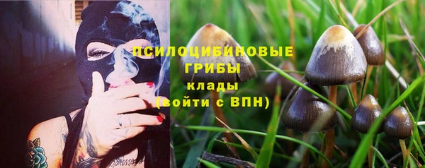apvp Абдулино