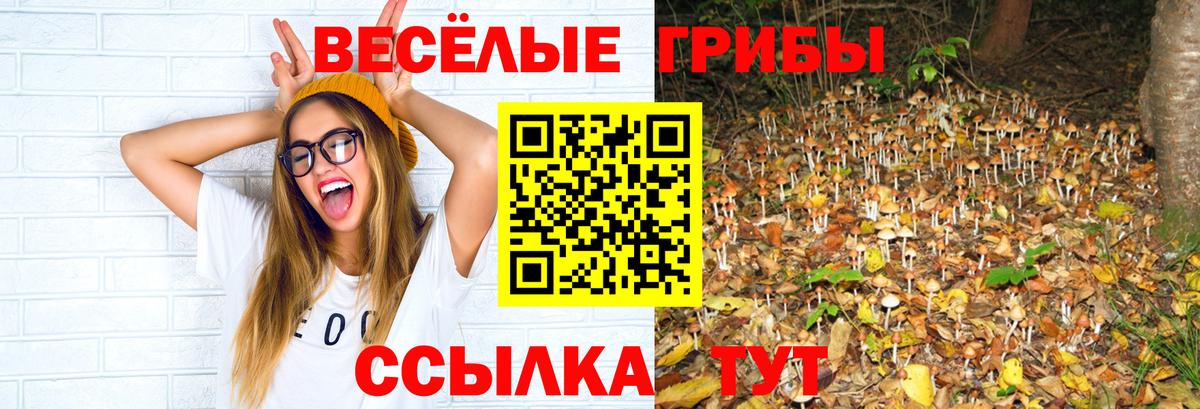 Галлюциногенные грибы GOLDEN TEACHER  Галлюциногенные грибы мухоморы  Серпухов  Вход с VPN 